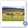 Strathspey Railway