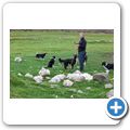 Cairngorms NP - Leault Farm