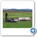Cairngorms NP - Leault Farm
