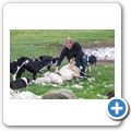 Cairngorms NP - Leault Farm