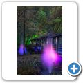 Pitlochry - Enchanted Forrest 2014