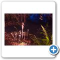Pitlochry - Enchanted Forrest 2014