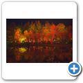 Pitlochry - Enchanted Forrest 2014