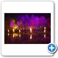 Pitlochry - Enchanted Forrest 2014