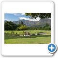 Franschhoek - "Franschhoek Cottages" - Zebra