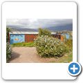 Barrydale - "Blue Cow" Farmstall