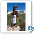 Betty's Bay - Pinguin-Kolonie am Stony Point