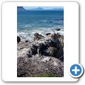 Betty's Bay - Pinguin-Kolonie am Stony Point