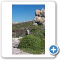 Betty's Bay - Pinguin-Kolonie am Stony Point