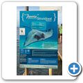 Struis Bay - Hafen - Stachelrochen "Perry"