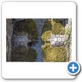 Schloss Hellbrunn - Wasserspiele