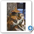 Schloss Hellbrunn - Wasserspiele
