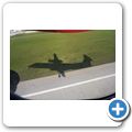 R&uuml;ckflug
