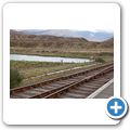 Achnasheen - Bahnhof - Rothirsche neben den Gleisen