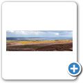 Dornoch Firth
