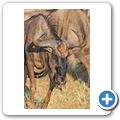 Gnu