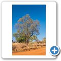 Pilanesberg NP - Rastplatz am Moloto Drive