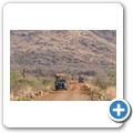 Pilanesberg NP