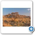 Pilanesberg NP