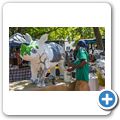 Franschhoek - Village Market