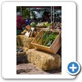 Franschhoek - Village Market