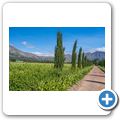 Franschhoek