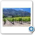 Franschhoek - Wine Tram - Chamonix Wine Estate