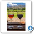Franschhoek - Wine Tram - Eikehof Wine Estate