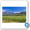 Franschhoek - Wine Tram - Grande Provence Wine Estate