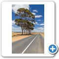 Auf der R317 durch Overberg