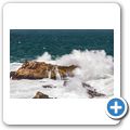 Hermanus