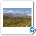 Blicks ins "Hemel-en-Aarde Valley"