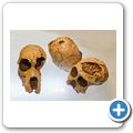 Cradle of Humankind - Maropeng Museum