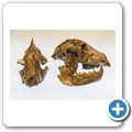 Cradle of Humankind - Maropeng Museum