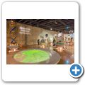 Cradle of Humankind - Maropeng Museum
