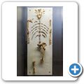 Cradle of Humankind - Maropeng Museum