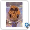 Cradle of Humankind - Sterkfontein Cave