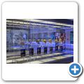 Cradle of Humankind - Sterkfontein Cave
