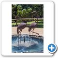 Hartebeespoort Dam - Monkey Sanctuary