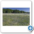 Lieper Winkel