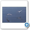 Am Achterwasser