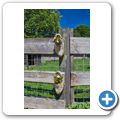 Mariahoeve-Logies - unser Ferienhaus