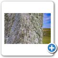 Port Ellen Standing Stone