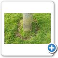 Kilbride Standing Stone