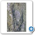 Uiskentuie Standing Stone