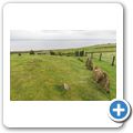 Auchagallon Stone Circle