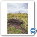 Machrie Moor