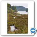 Three Lochs Forest Drive - Loch Drunkie
