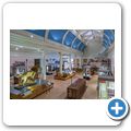 Paisley - Paisley Museum and Art Galleries