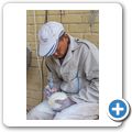 Oudtshoorn - Highgate Ostrich Show Farm